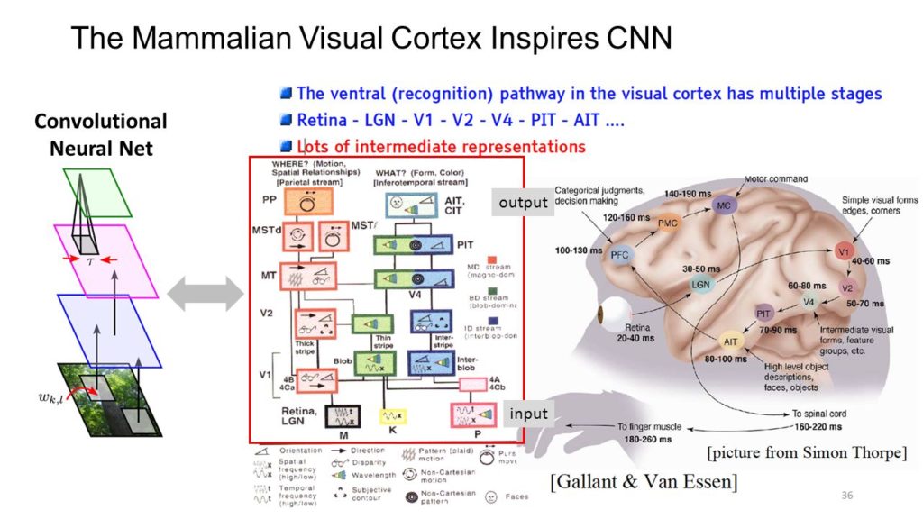 Convolutional Neural Net. output. input.