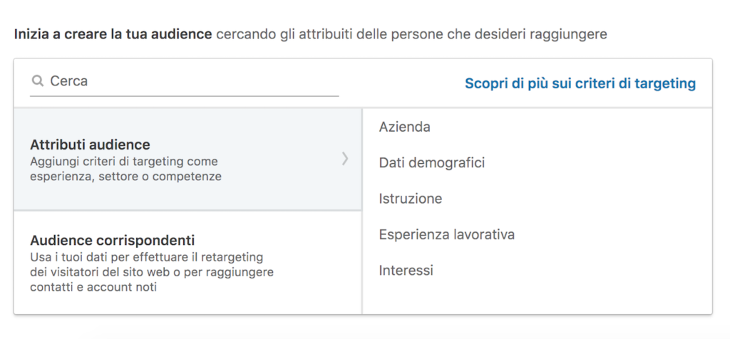 Target-Campagna-LinkedIn-Campaign-Manager