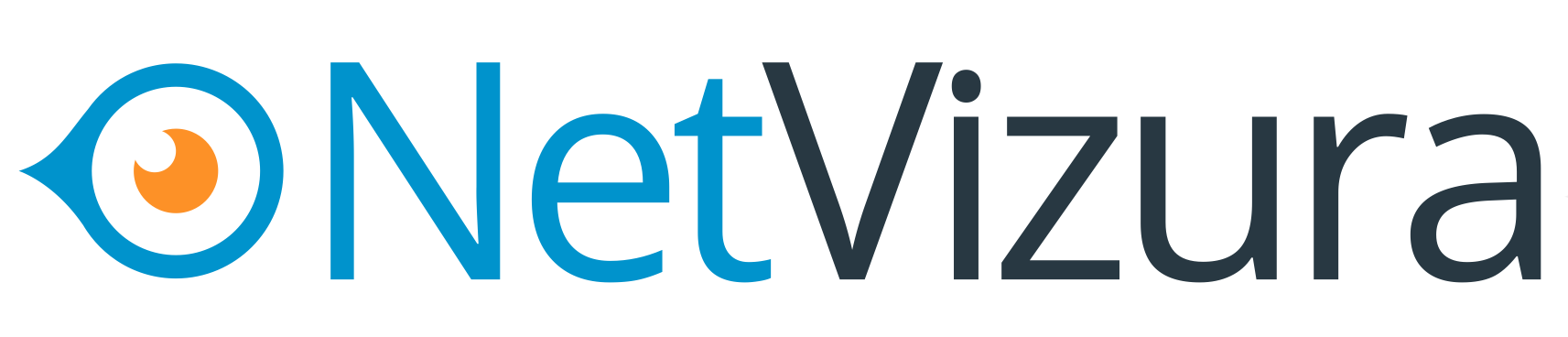 netvizura_logo